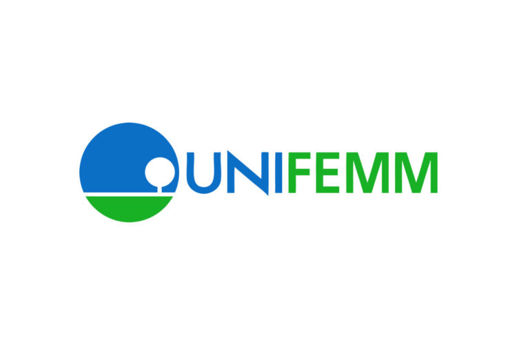 UNIFEMM