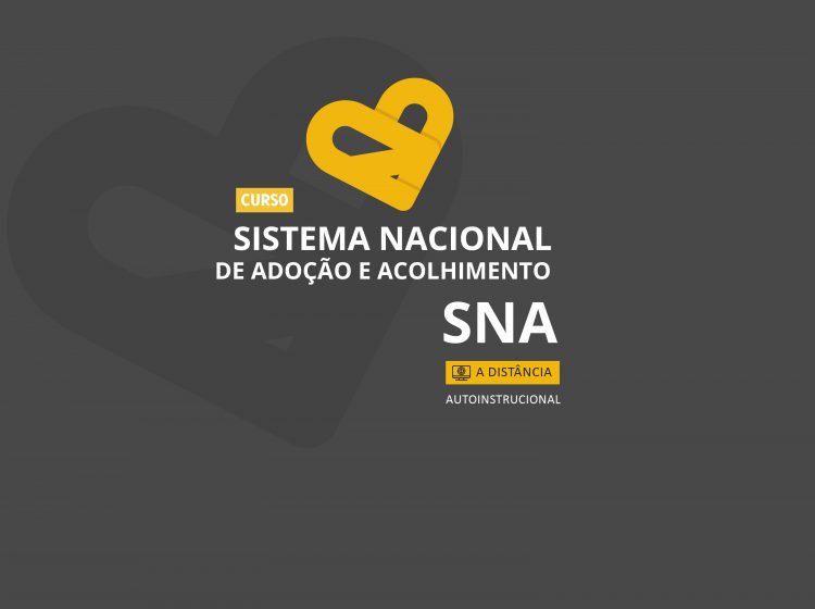 Sistema Nacional de Adoção e Acolhimento – SNA: atualizações e desafios