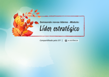 Curso Semeando novos líderes – módulo Líder Estratégico